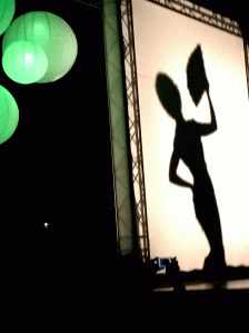 oriental-dress-shadow