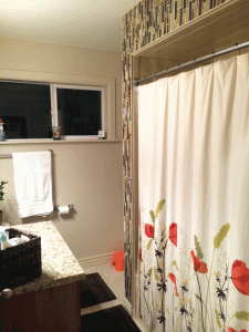 designshadow.org-1st-bathro