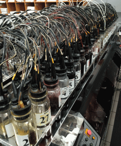 designshadow.org-dyes