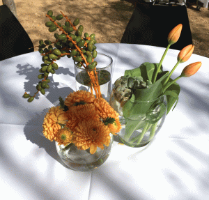 designshadow--orange-group