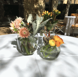 designshadow-peach-group