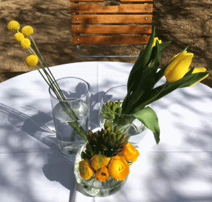 designshadow--yellow-group